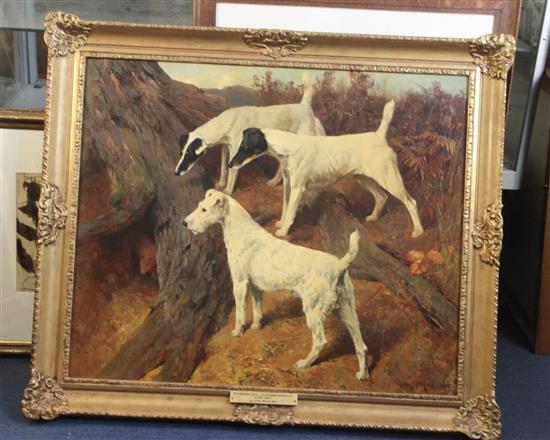 § Arthur Wardle R.I., R.B.C. (1864-1949) Fox terriers beside a warren: Top Mowbray Faith, Alport Frost and Ch.Ridgewood Imperialist 2